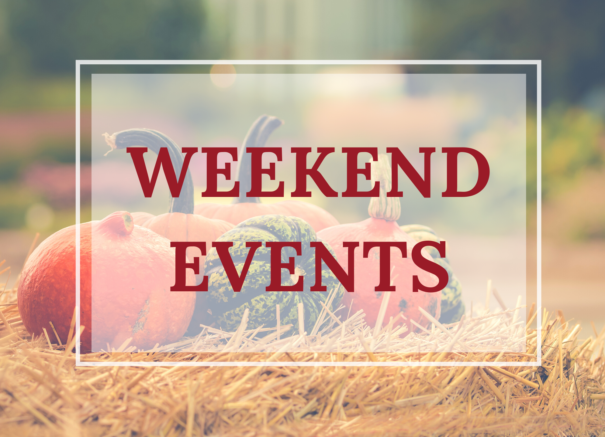 Weekend Events November 22nd24th Downtown State College Improvement